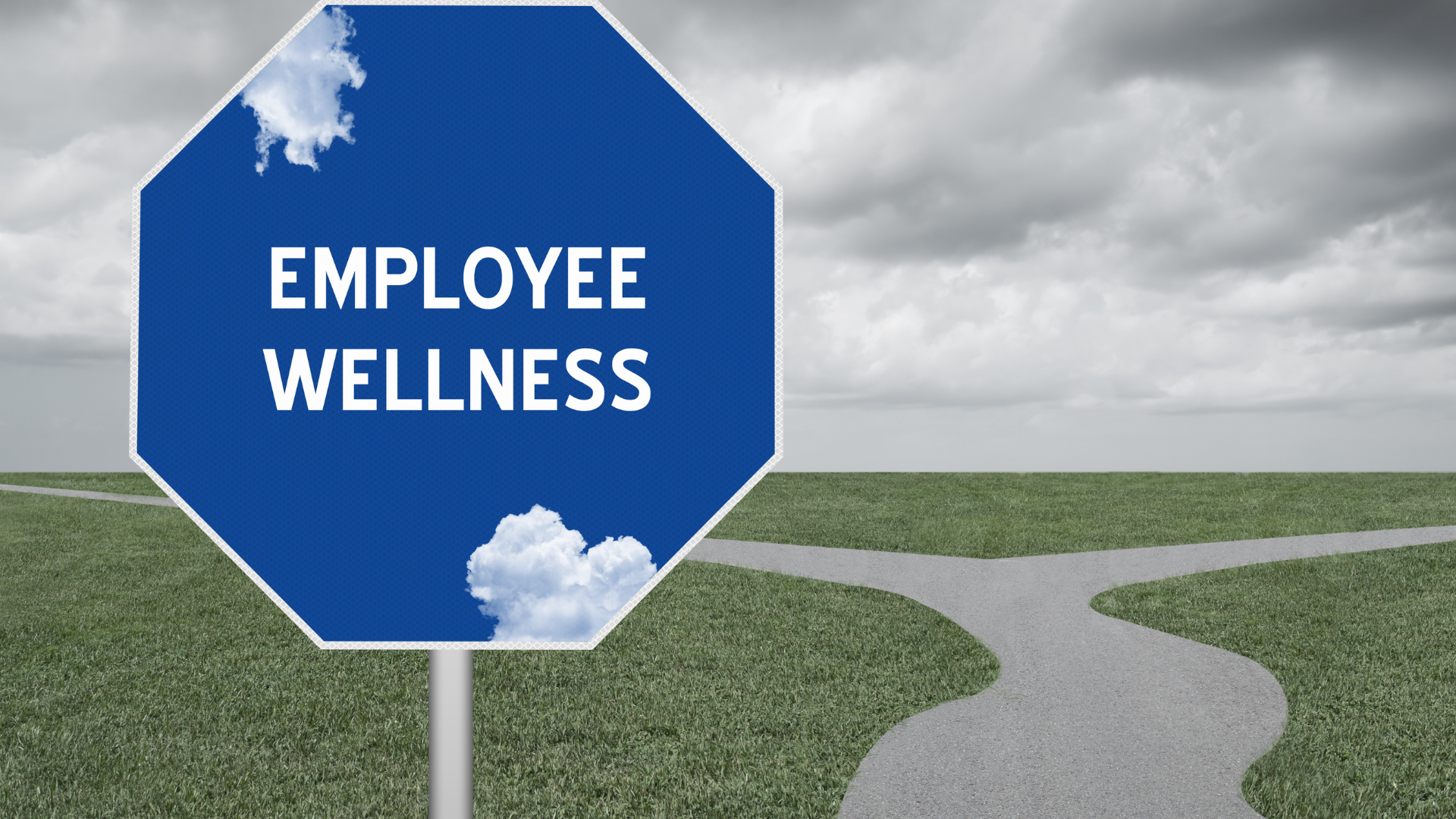 Putting People First: SAU1 Speaks Up About Wellness at Work